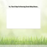 Home – Beat Kidney Disease – 2020 – Beat Kidney Disease Home - Beat Kidney Disease - 2020 - Beat Kidney Disease