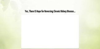 Home – Beat Kidney Disease – 2020 – Beat Kidney Disease Home - Beat Kidney Disease - 2020 - Beat Kidney Disease