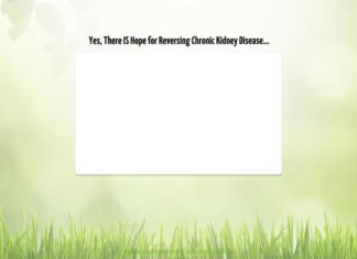 Home – Beat Kidney Disease – 2020 – Beat Kidney Disease Home - Beat Kidney Disease - 2020 - Beat Kidney Disease