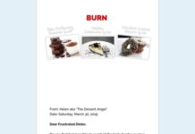 The Dessert Angel – Healthy Desserts Cookbook The Dessert Angel - Healthy Desserts Cookbook