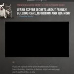 French Bulldog Secrets French Bulldog Secrets