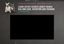 French Bulldog Secrets French Bulldog Secrets