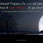 Moonlight Manifestation Moonlight Manifestation