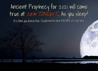 Moonlight Manifestation Moonlight Manifestation