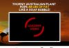 Outback Belly Burner – EPIC NEW High Converting Supplement Offer Outback Belly Burner - EPIC NEW High Converting Supplement Offer