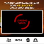 Outback Belly Burner – EPIC NEW High Converting Supplement Offer Outback Belly Burner - EPIC NEW High Converting Supplement Offer